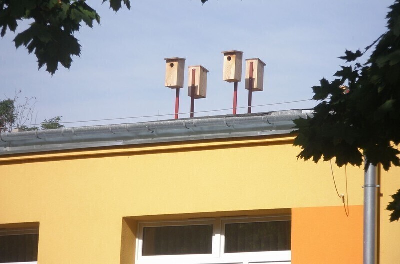 Zdjęcie 2: Budki lęgowe na dachu piotrkowskiego przedszkola 