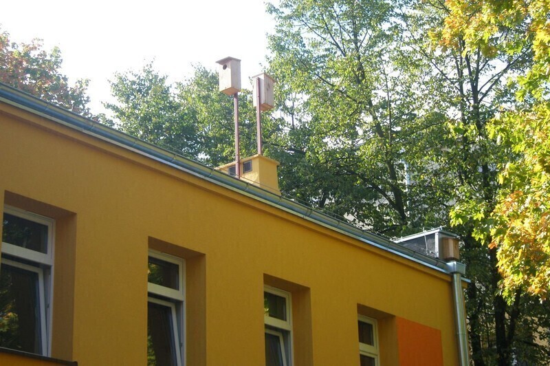 Zdjęcie 3: Budki lęgowe na dachu piotrkowskiego przedszkola 