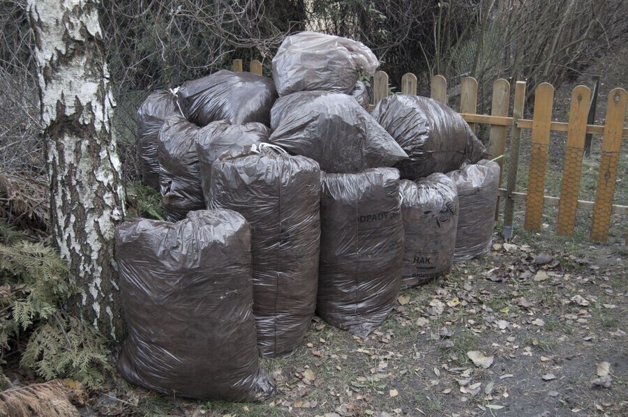 Kto odbierze liście