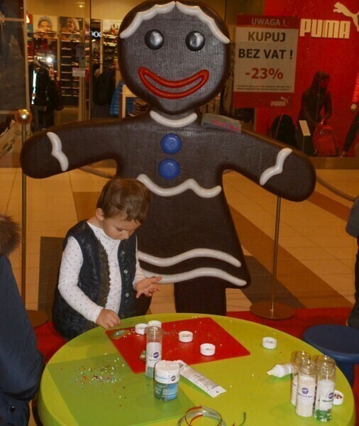 Zdjęcie 13: Zobacz zdjęcia z Fabryki Świętego Mikołaja! 