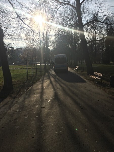 Radiowozy jeżdżą po parkowych alejkach
