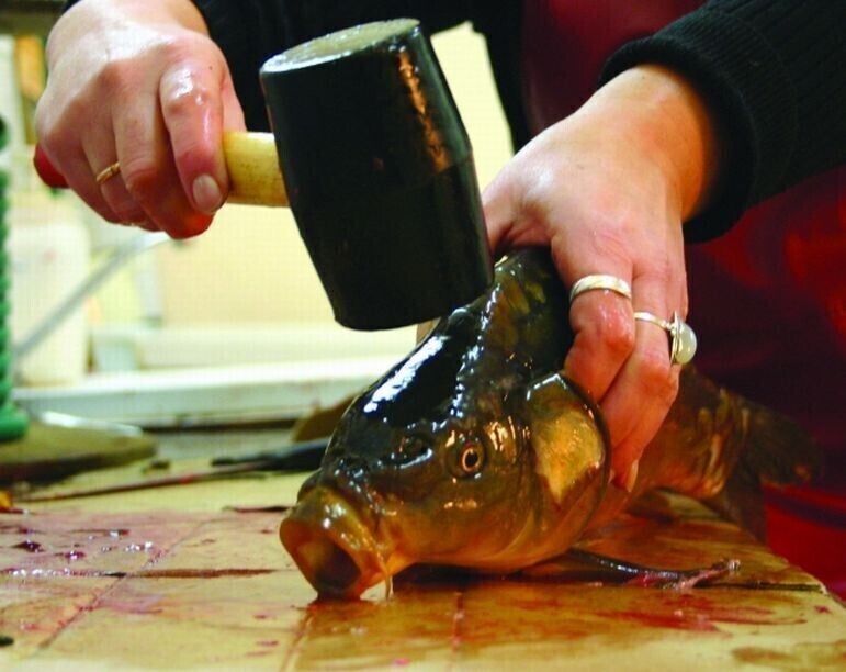 Pamiętajmy o humanitarnym uśmiercaniu