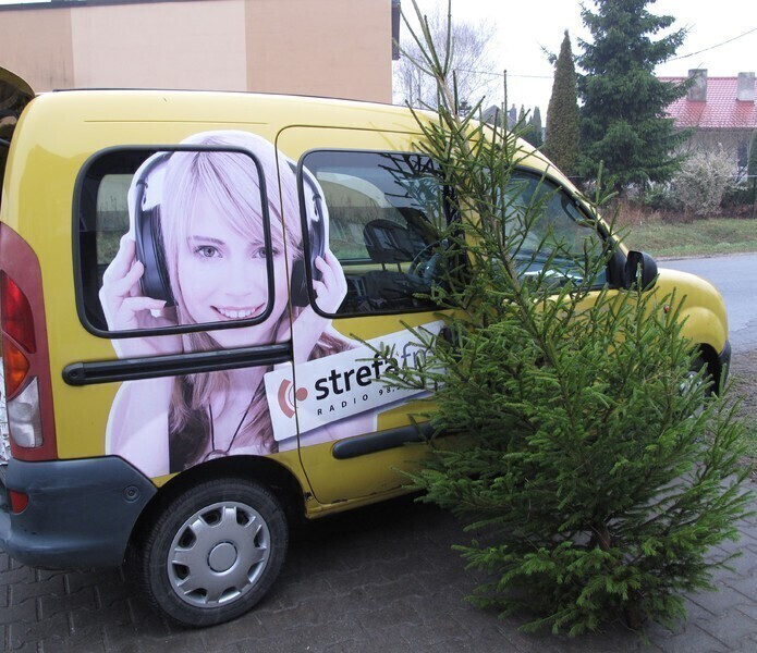 Zdjęcie 2: Jaka choinka na święta? 