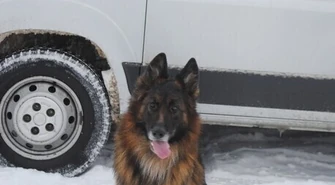 Urząd Miasta dał 5 tysięcy zł na psa