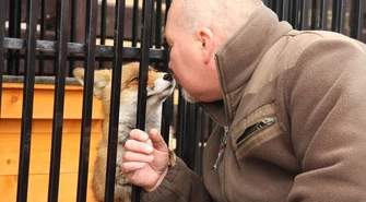 Ratują jeże, dziki, bociany... Wkrótce rozbudują Osadę w Kole