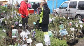 X Piotrkowskie Targi Ogrodnicze "Pamiętajmy o ogrodach"