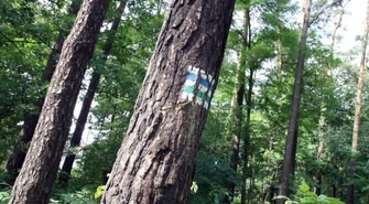 Na wiosenny marsz zapraszają harcerze i PTTK