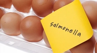 Sanepid ostrzega przed salmonellą. Już 12 przypadków zachorowań!