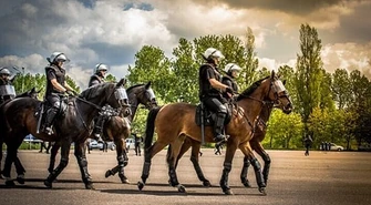 Czego nie boi się policyjny.... koń?