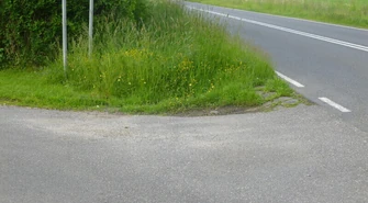 Czytelnik interweniuje