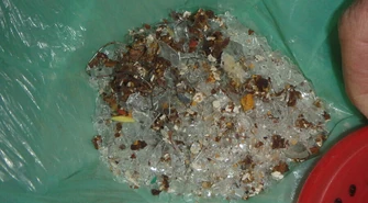 Karmi bezpańskie koty mieszanką metalu, szkła i trucizny