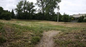 Co z inwestycjami z budżetu obywatelskiego? 