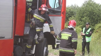 W sprawie owadów do strażaków, w sprawie barszczu do urzędu 