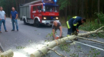 Drzewo spadło na samochód 