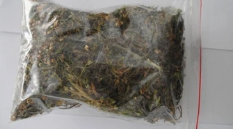 Znalazła sporą ilość marihuany, zaniosła na policję 