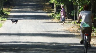 W środę radni zdecydują, czy psy wejdą do parku 