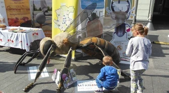 Łódź. Mixer regionalny rozpoczęty