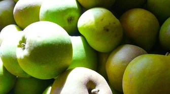 Jesienne smaki dla zdrowia