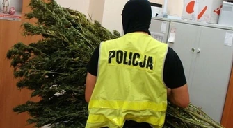 Zamiast bielizny na strychu suszył narkotyki 