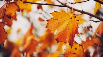 Jesienne osłabienie &#8211; jak sobie z nim radzić