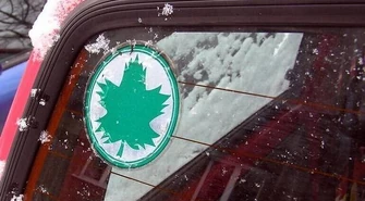 Przez zielone listki... zwiększy się bezpieczeństwo?