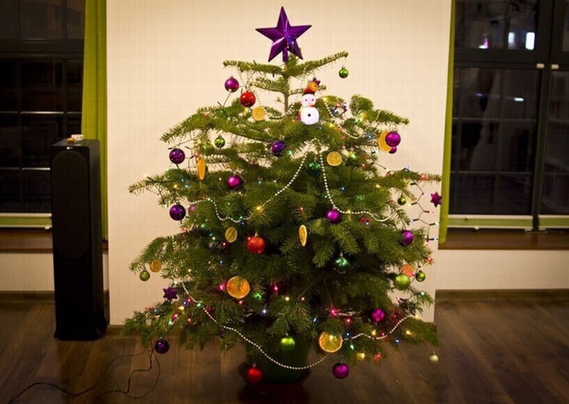 Co zrobić z choinką