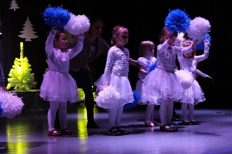 Zdjęcie 3: WOŚP. Ile zebrali w Woli Krzysztoporskiej?