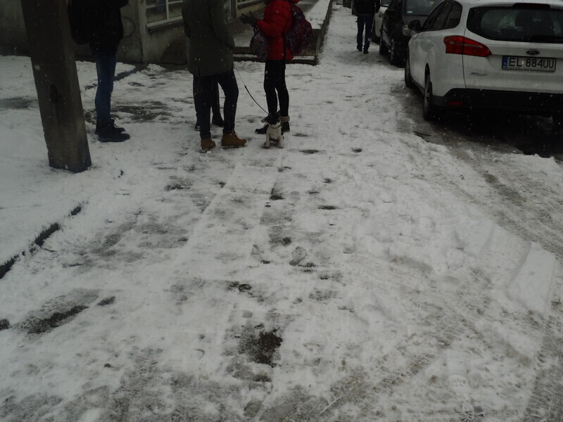 Zdjęcie 2: Piotrkowskie chodniki zimą: nieodśnieżone i śliskie