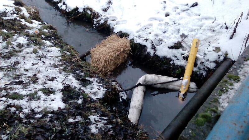 Zdjęcie 2: Śrutowy Dołek znowu zanieczyszczony