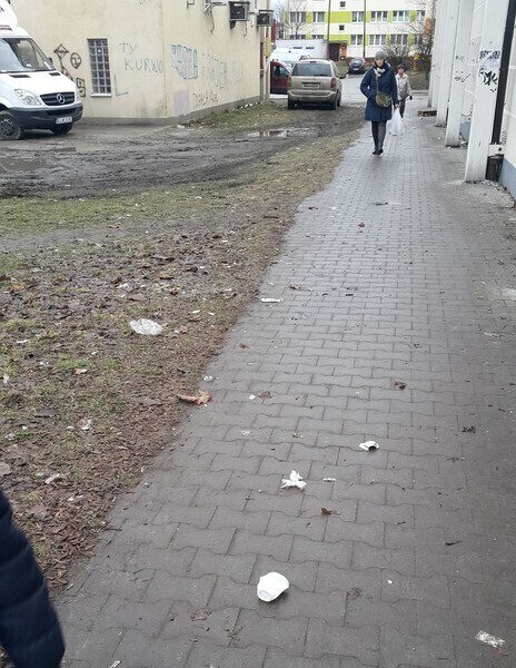 Zdjęcie 5: Ul. Belzacka: Kto sprzątnie śmieci? 
