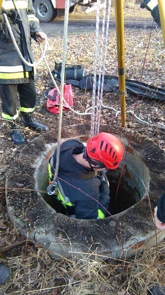 Zdjęcie 1: Strażacy uratowali psa