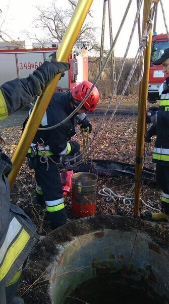 Zdjęcie 2: Strażacy uratowali psa