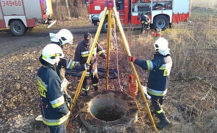 Zdjęcie 3: Strażacy uratowali psa