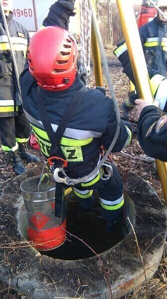 Zdjęcie 4: Strażacy uratowali psa