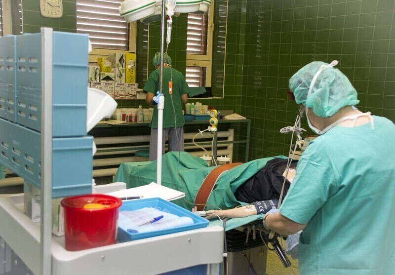 Zdjęcie 2: Oddaj organy, po śmierci nie będą ci potrzebne