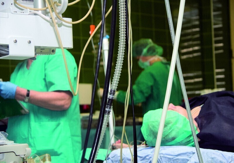 Zdjęcie 3: Oddaj organy, po śmierci nie będą ci potrzebne