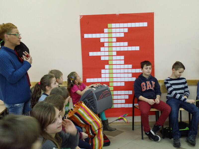 Zdjęcie 3: Koci dzień na UJK