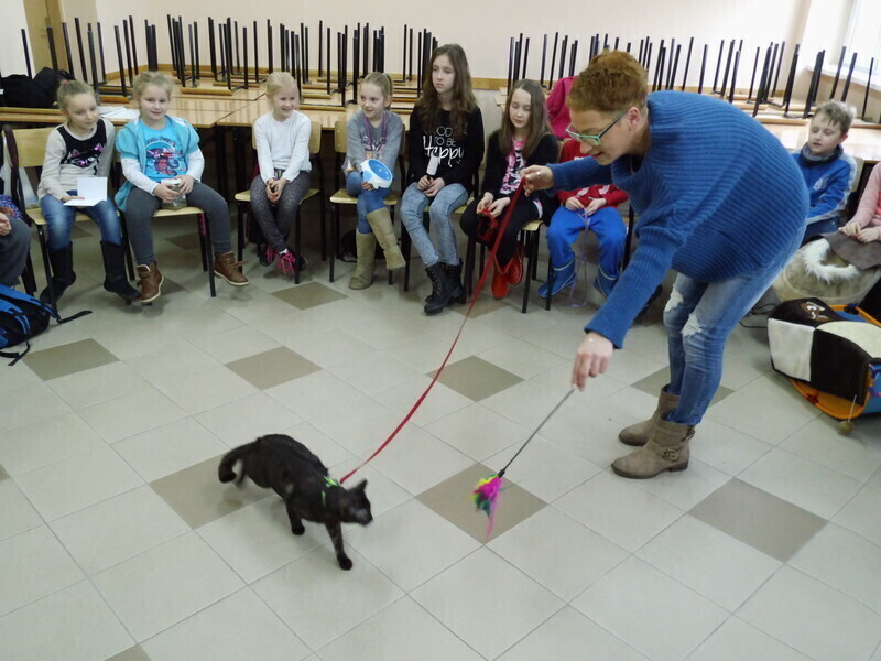 Zdjęcie 6: Koci dzień na UJK