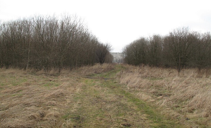 Zdjęcie 1: Zwłoki w krzakach przy ulicy Wroniej