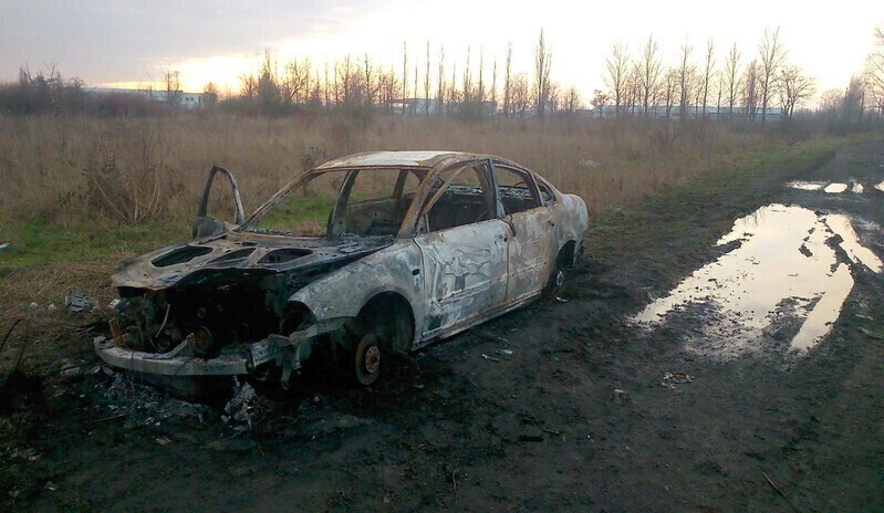 Zdjęcie 2: Można wyczesać psa, można pasać krowy...