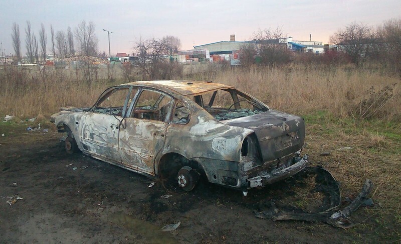 Zdjęcie 3: Można wyczesać psa, można pasać krowy...