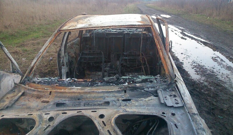 Zdjęcie 5: Można wyczesać psa, można pasać krowy...