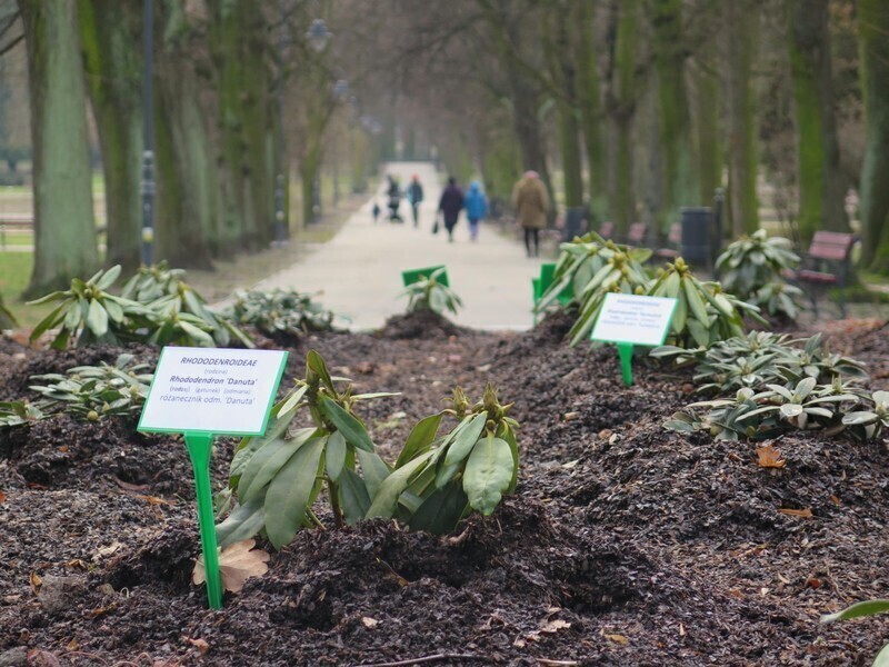 Zostało kilka dni do wiosny