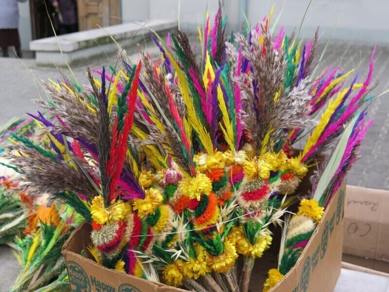 Zdjęcie 4: Palmowa Niedziela w Piotrkowie