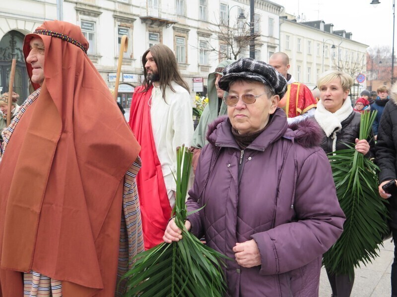 Zdjęcie 5: Palmowa Niedziela w Piotrkowie
