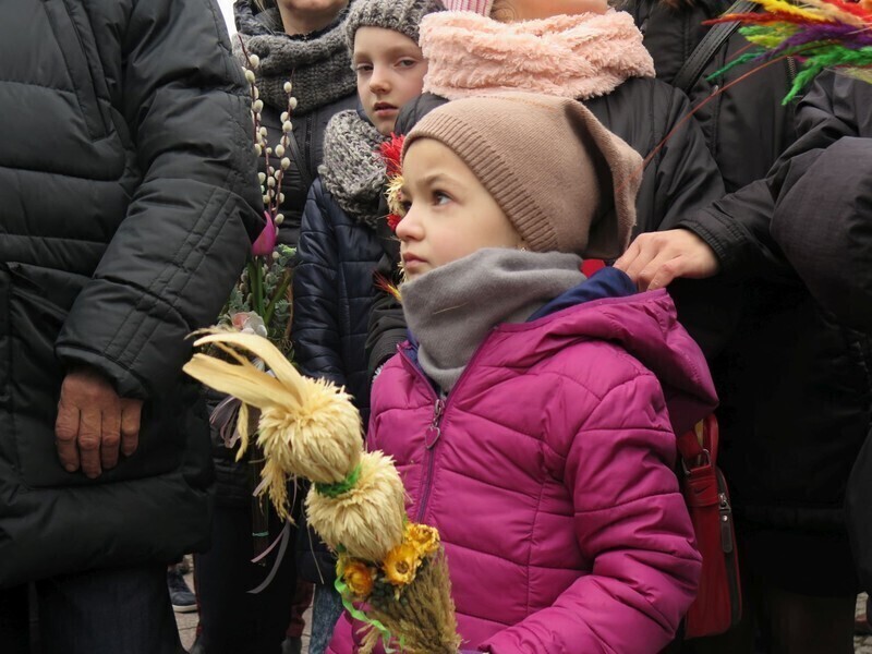 Zdjęcie 8: Palmowa Niedziela w Piotrkowie