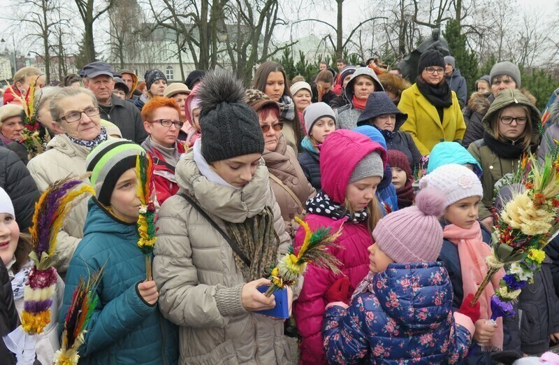 Zdjęcie 20: Palmowa Niedziela w Piotrkowie