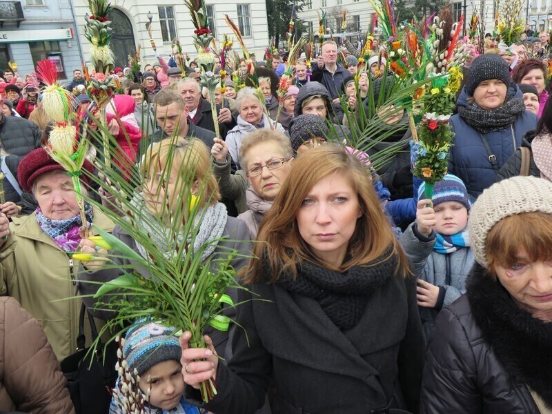 Zdjęcie 27: Palmowa Niedziela w Piotrkowie