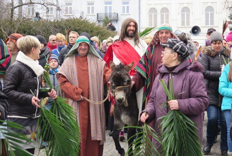 Zdjęcie 32: Palmowa Niedziela w Piotrkowie