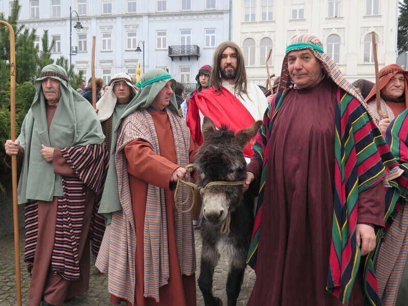 Zdjęcie 33: Palmowa Niedziela w Piotrkowie